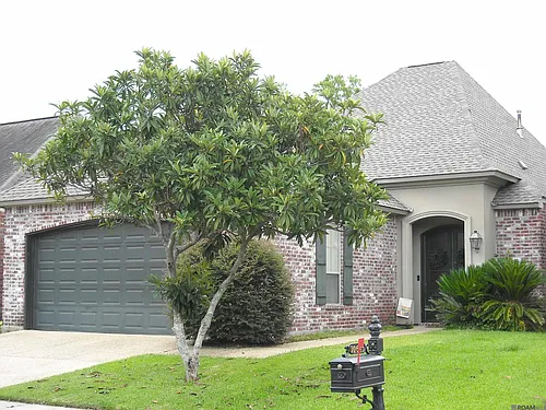 10655 Woodland Oaks Dr Photo 1