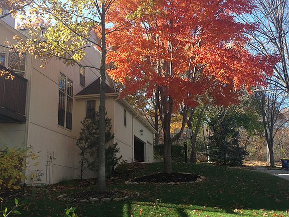 Great side yard with trees
