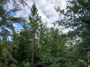 0 Dinkins Dr, Folkston, GA 31537