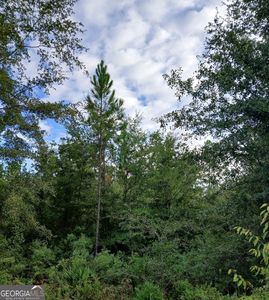 0 Dinkins Dr, Folkston, GA, 31537