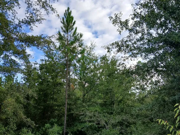 0 Dinkins Dr, Folkston, GA 31537