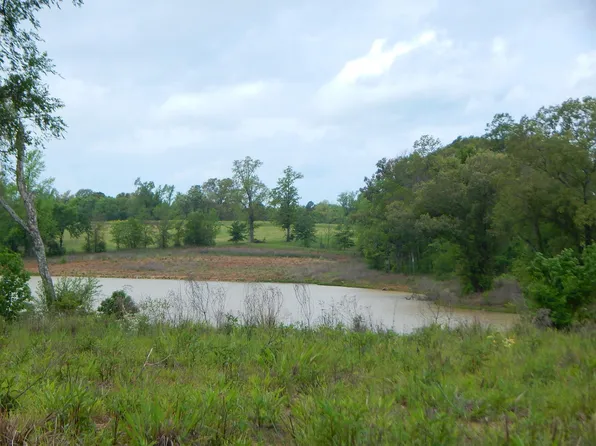 Thyme Rd, Diana, TX 75640