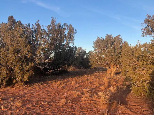 1080 E Mulvehill Avenue #1, Heber, AZ 85928