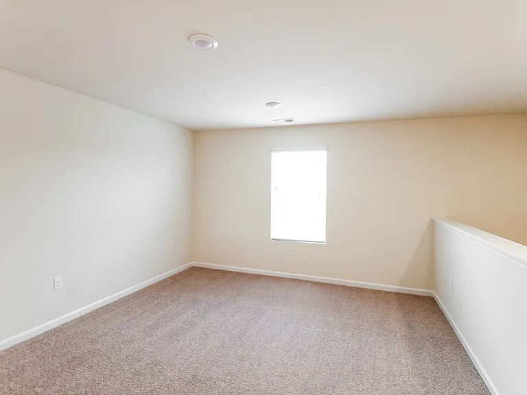 295 Hamilton Pointe Dr — Photo 8