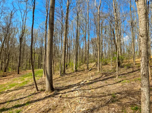 0 Dennis Rd Tract 1, Zanesville, OH 43701