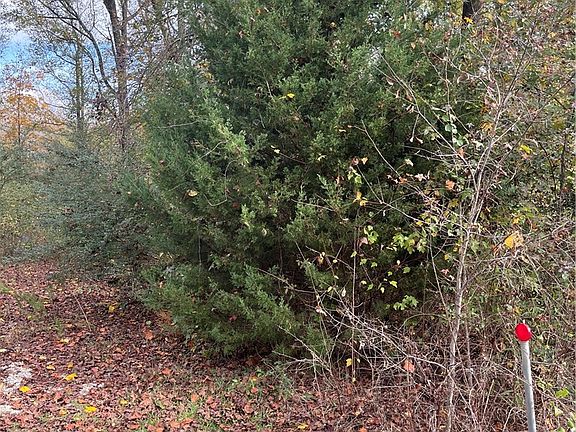 2nd image of 700 Keowee Trl