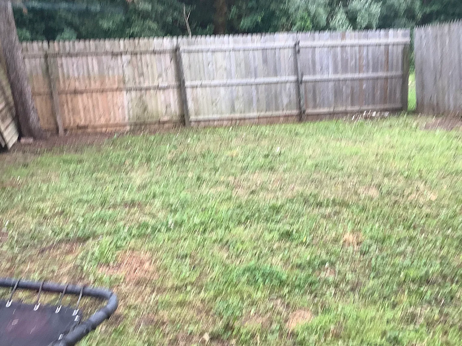 2 bed, 924 sqft, $1,950 — Photo 4
