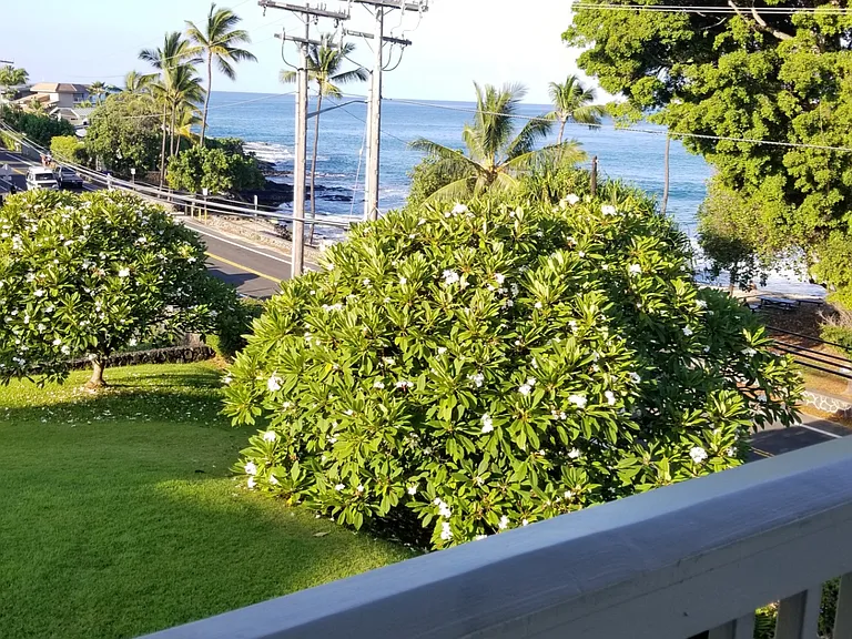 Alii Dr — Photo 32