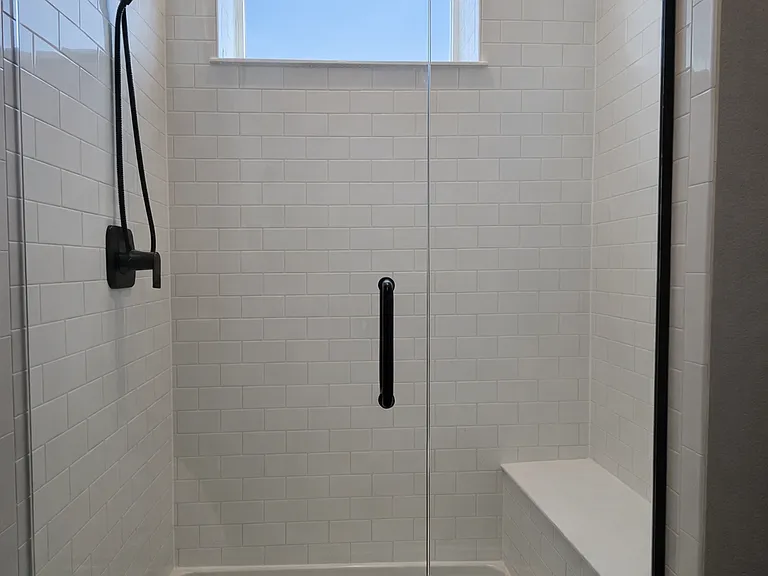 Master Bathroom Shower