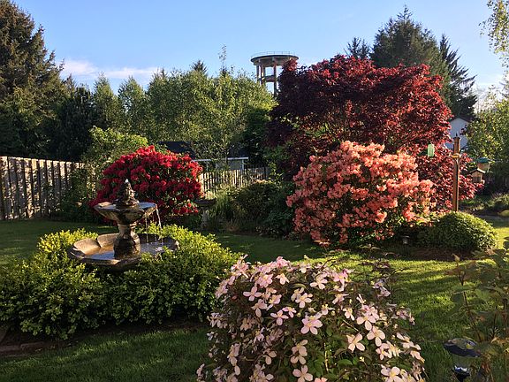 Upper backyard & fountain