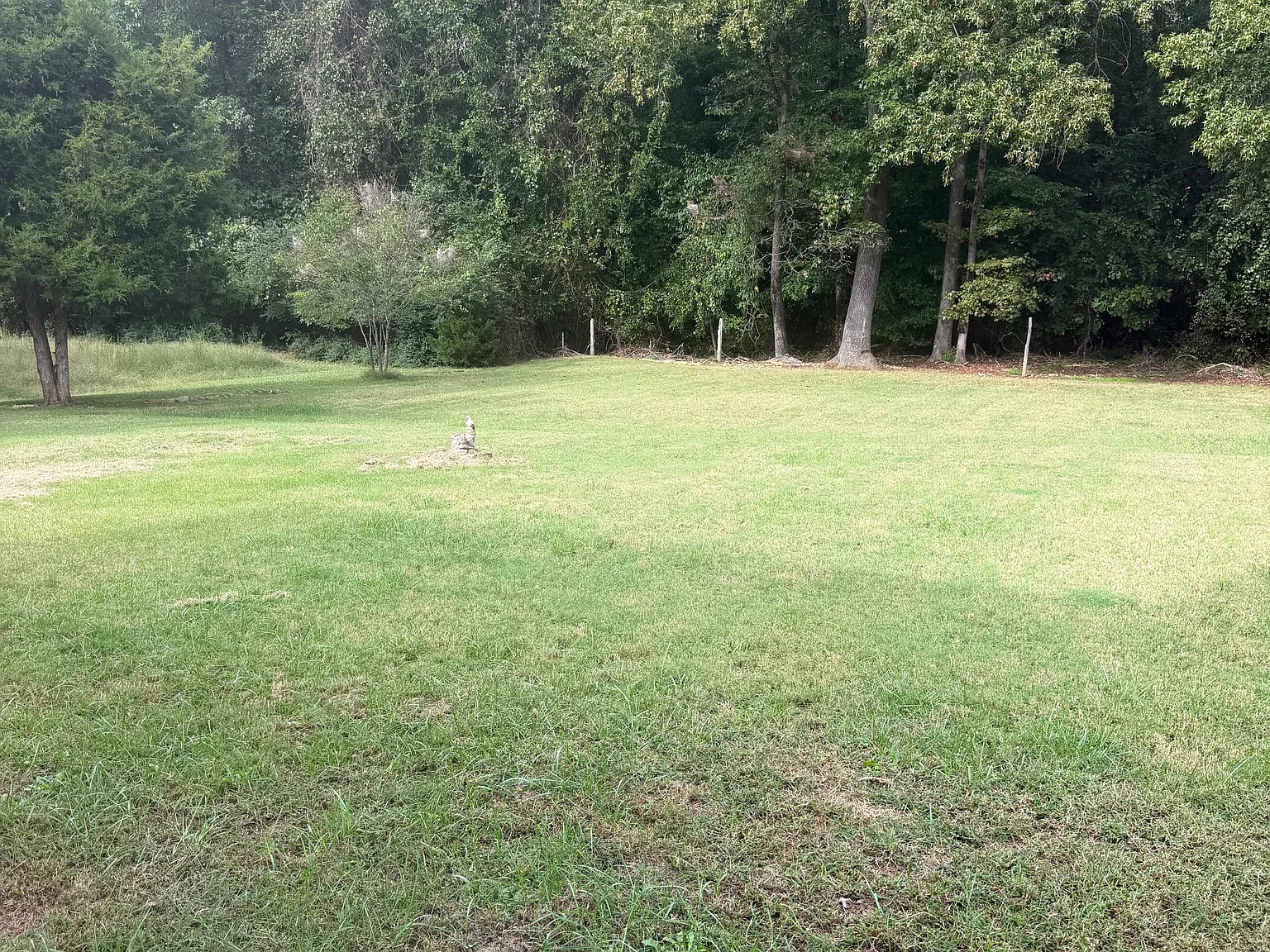 2 bed, 840 sqft, $1,250 — Photo 3