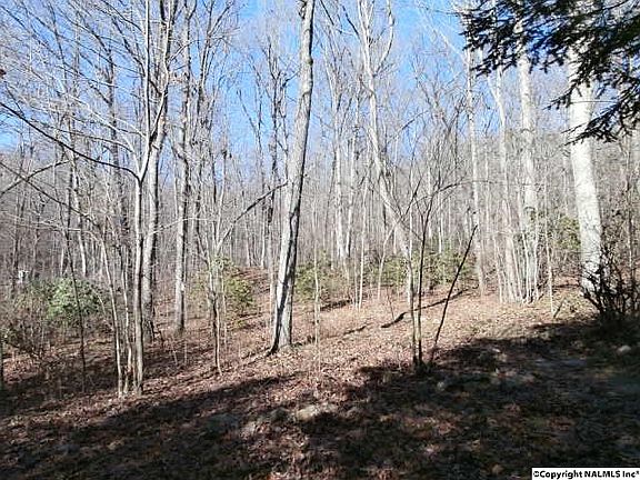 5th image of 234 Marigold Dr