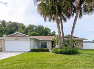 16214 Oakmanor Dr, Tampa, FL 33624