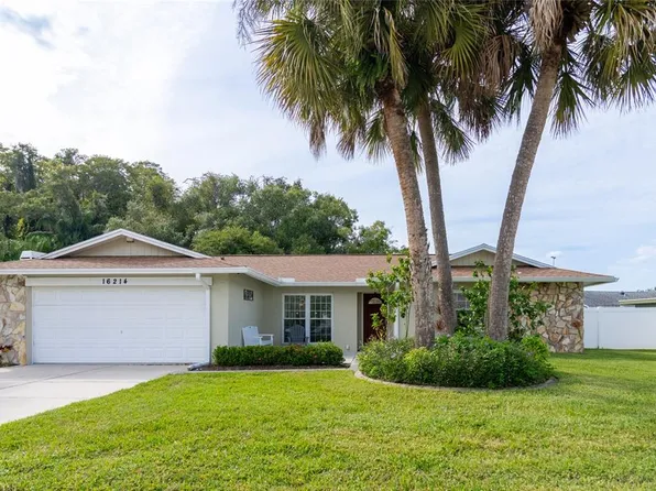 16214 OAKMANOR DRIVE, TAMPA, FL 33624