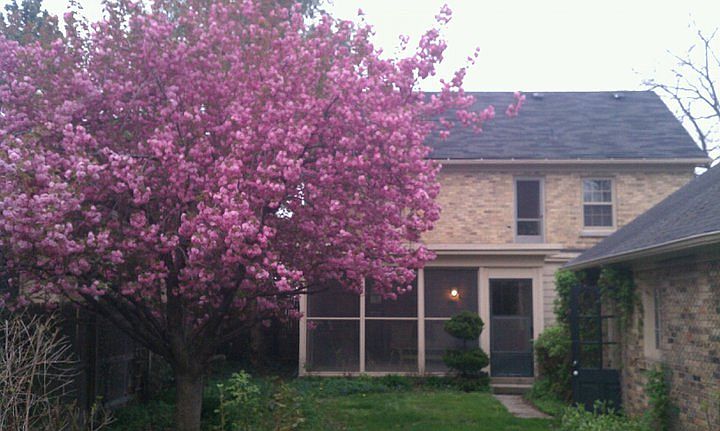 2nd image of 39 Alten Ave NE