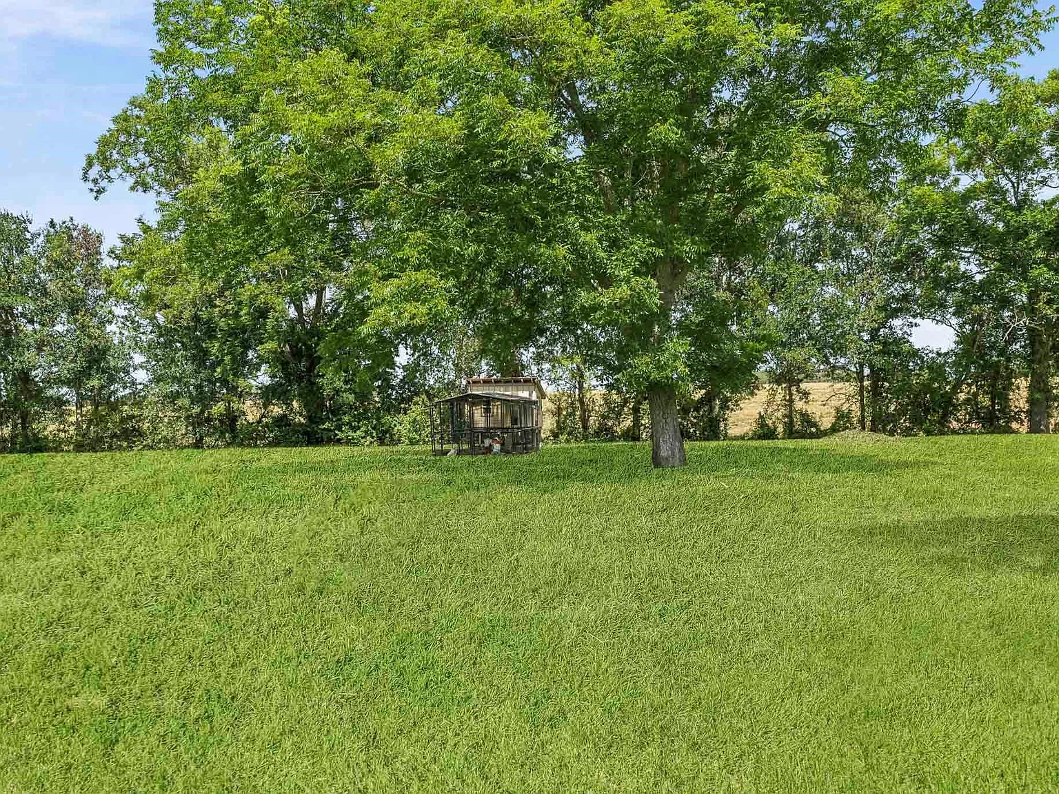 3 bed, 2.0 bath, 1920 sqft, $2,750 — Photo 3