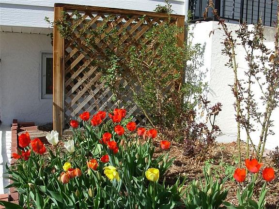 Flower Garden by Front Door