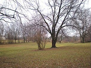 2nd image of 3007 Maplewood Dr