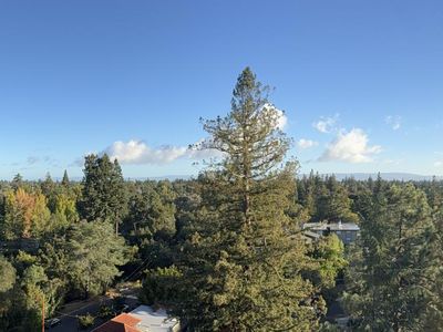 101 Alma St APT 1102, Palo Alto, CA, 94301