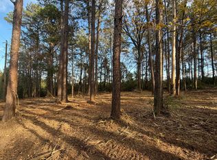 State Highway 48, Sandy Hook, MS 39478