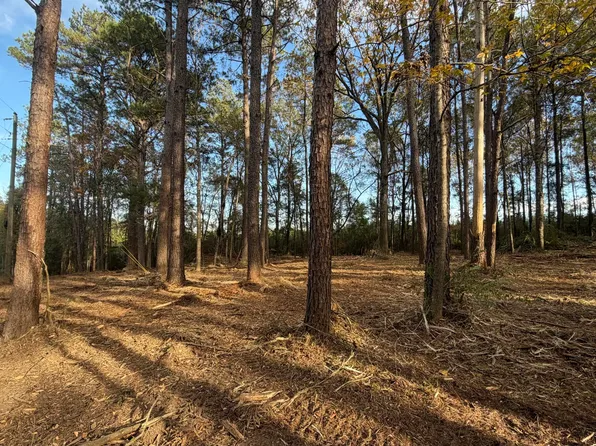 State Highway 48, Sandy Hook, MS 39478