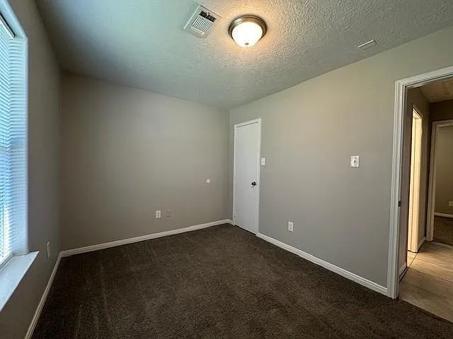 16313 Many Trees Ln — Photo 10
