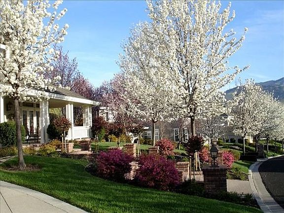 4th image of 15 Brightwood Cir