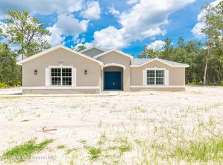 11013 Florida Wren Ave, Weeki Wachee, FL 34614