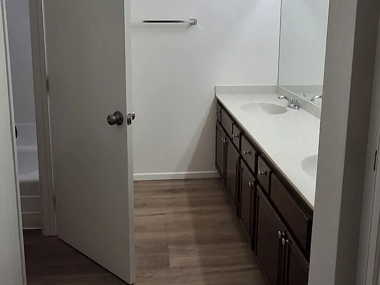 Master Bathroom Vanity Area