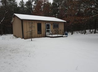 11167 Baldwin Rd, Roscommon, MI 48653