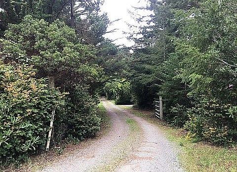 main driveway