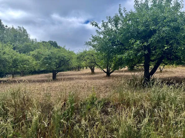 237 Gold Ridge Road, Sebastopol, CA 95472