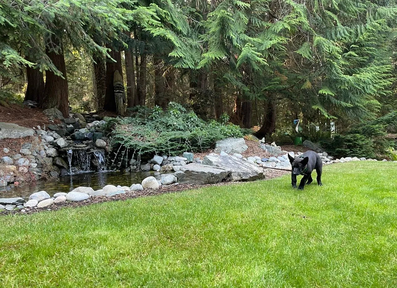 Bayview Ln, Oak Harbor — Photo 2
