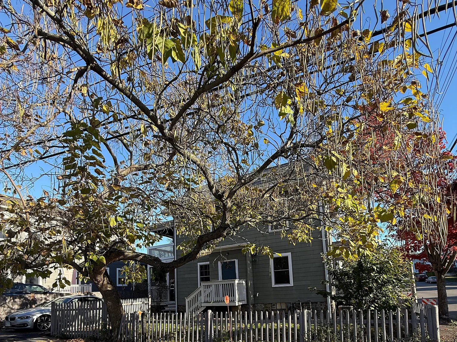 2 bed, 1200 sqft, $3,000 — Photo 1