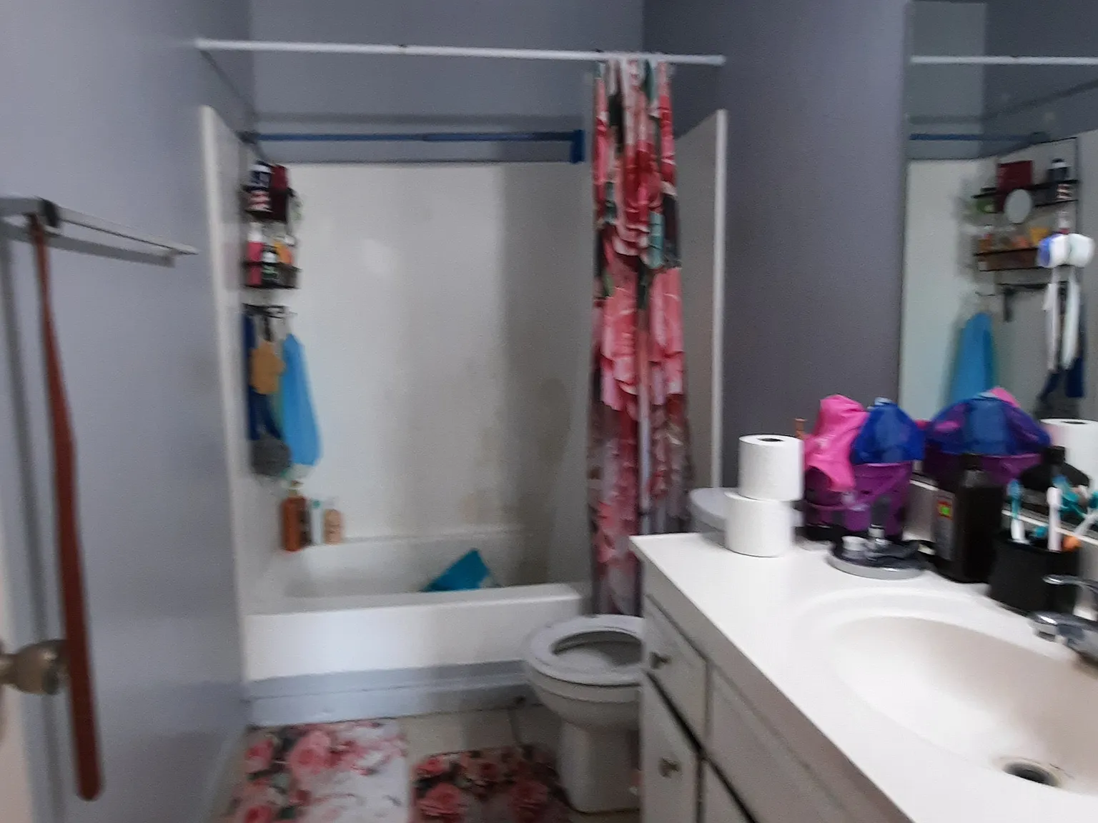 3 bed, 1600 sqft, $2,490 — Photo 2