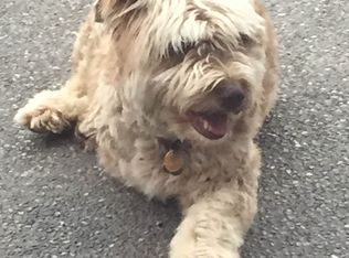 2945 McLeod Rd, Bellingham, WA 98225