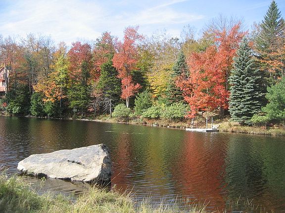 Pond