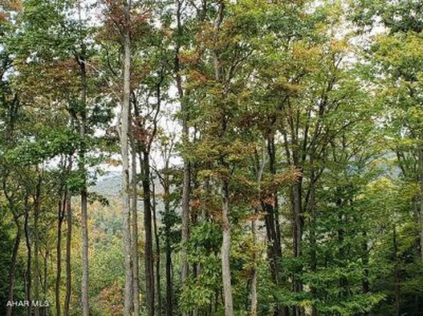 193L Ridge Run Rd, Claysburg, PA 16625