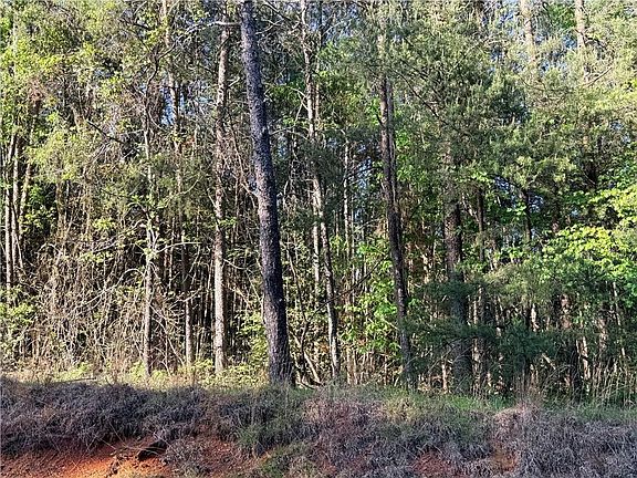 3rd image of LOT 7B Pea Ridge Rd