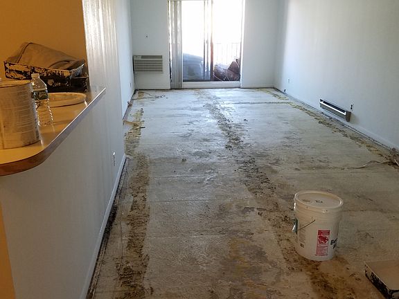 Entrance/Living Room