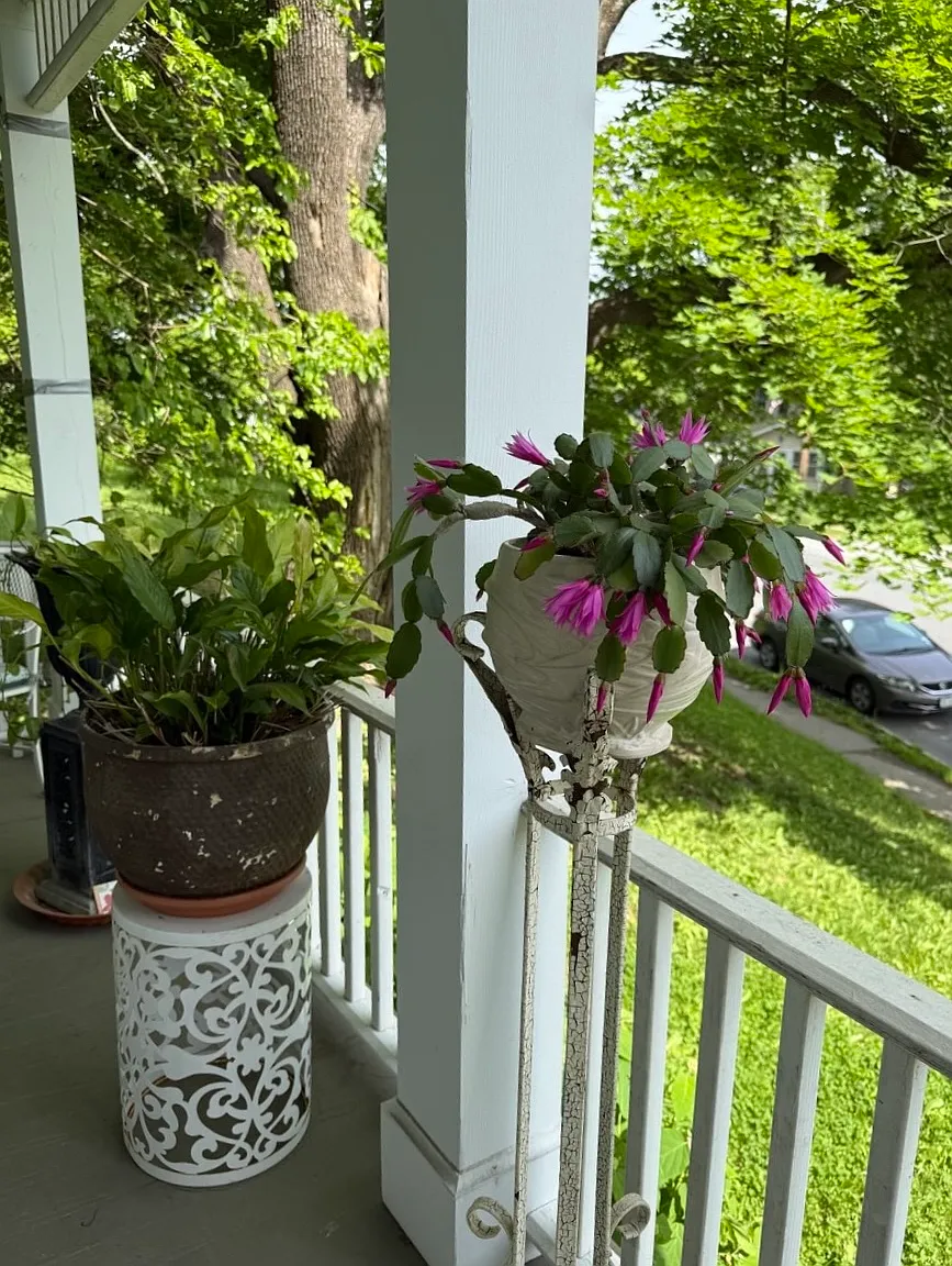 2 bed, 1250 sqft, $2,400 — Photo 3