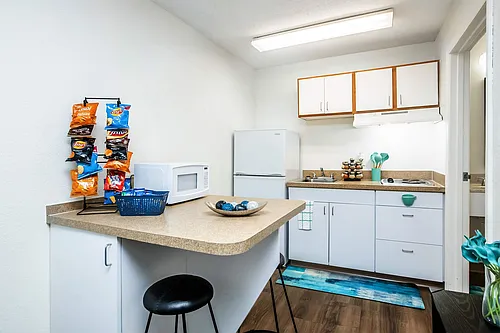 Vivo Living North Woods Photo 1