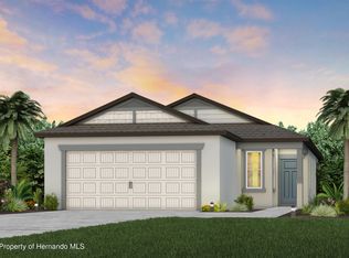 3778 Hornbeam Rd, Spring Hill, FL 34609