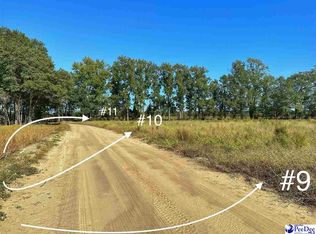 LOT 11 Neil Dr, Hamer, SC 29547