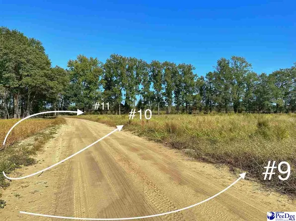LOT 11 Neil Dr, Hamer, SC 29547