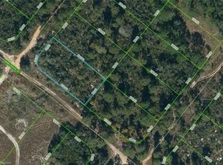 201 Harcourt Ave, Lake Placid, FL 33852