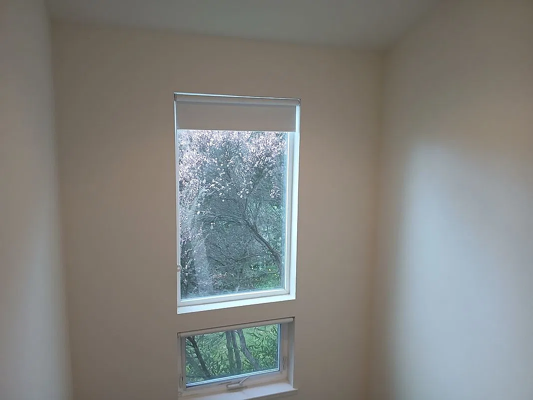 1 bed, 1.0 bath, 1000 sqft, $3,550 — Photo 4