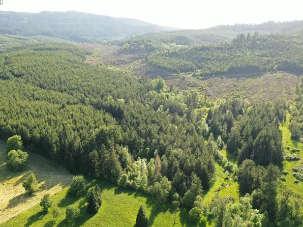 Kimball Rd #Tl101, Dexter, OR 97431