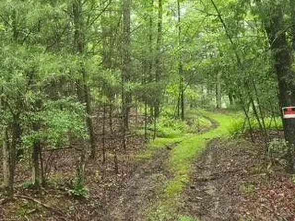 LOT 7B Hemlock Ridge Rd, Jersey Shore, PA 17740