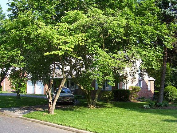 Front-right toward bedroom wing.